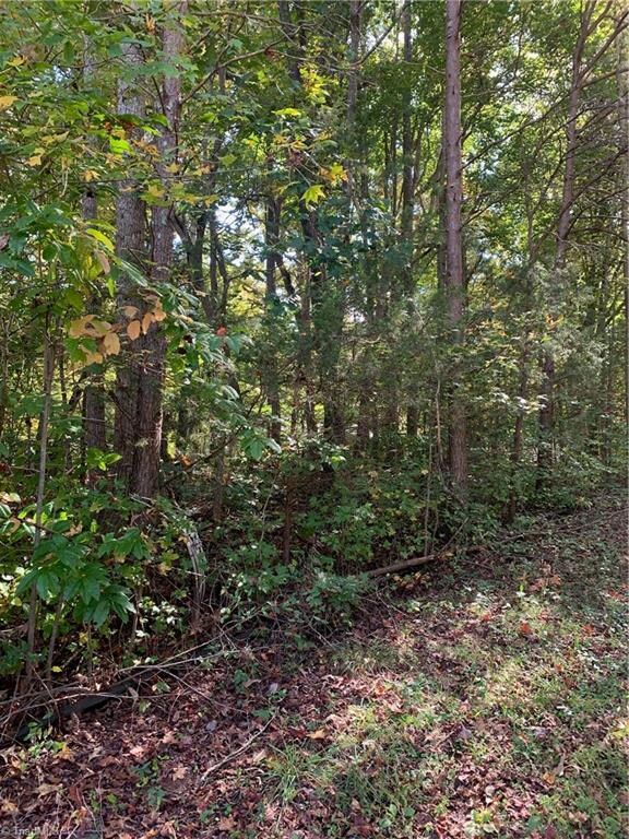 0 Jennifer View Dr unit 999299, Grant, NC 27205 - photo 6