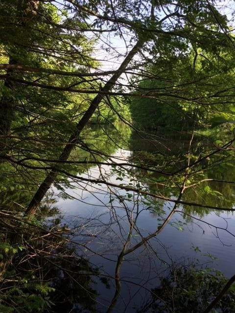 265 Webber Hill Rd, Kennebunk, ME 04043 - photo 4