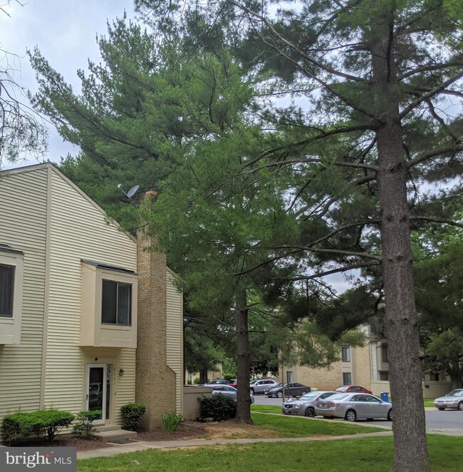 9331 Jarrett Ct, Montgomery Village, MD 20886 - photo 4