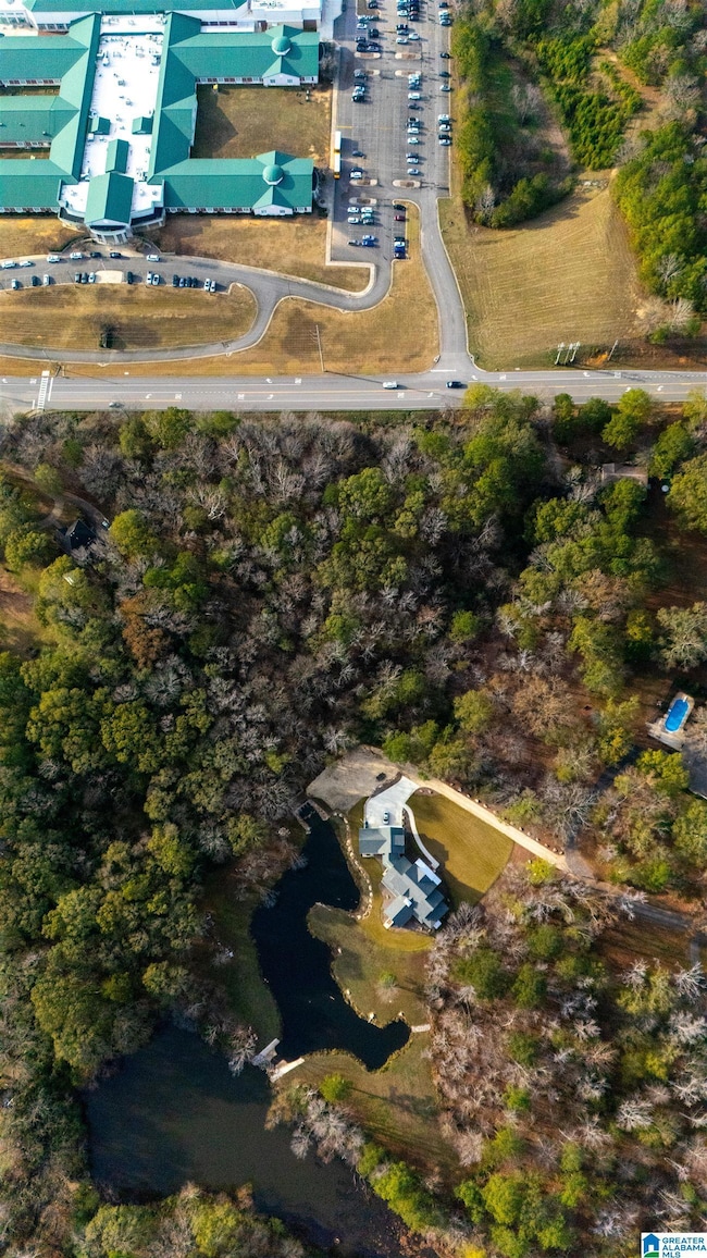 101 Caldwell Mill Rd, Birmingham, AL 35244 - photo 5