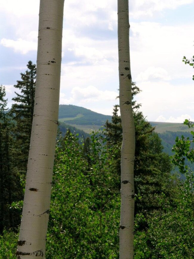 DSCN1505.JPG