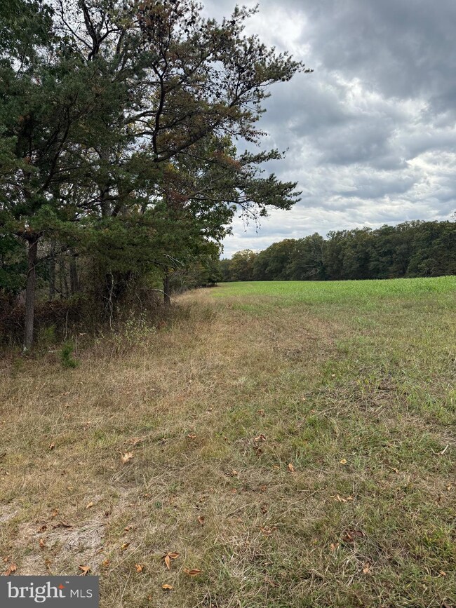 0 Posey Hollow unit WVMO2007026, Berkeley Springs, WV 25411 - photo 4