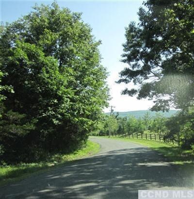 0 Post Hill Rd unit 97496, Taghkanic, NY 12502 - photo 5