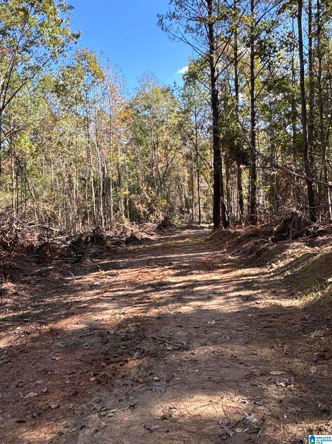 0 Bibb County 9 unit 21439274, West Blocton, AL 35184 - photo 5