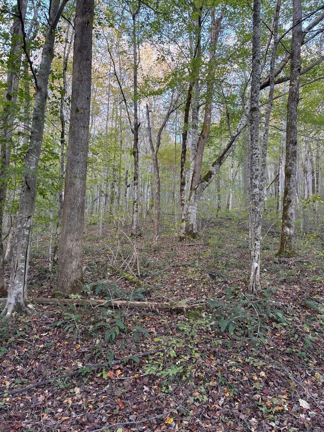 0 Calfkiller Hwy unit 25393188, Monterey, TN 38574 - photo 2