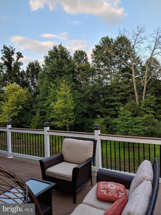 21697 Loganberry Terrace, Broadlands, VA 20148 - photo 5