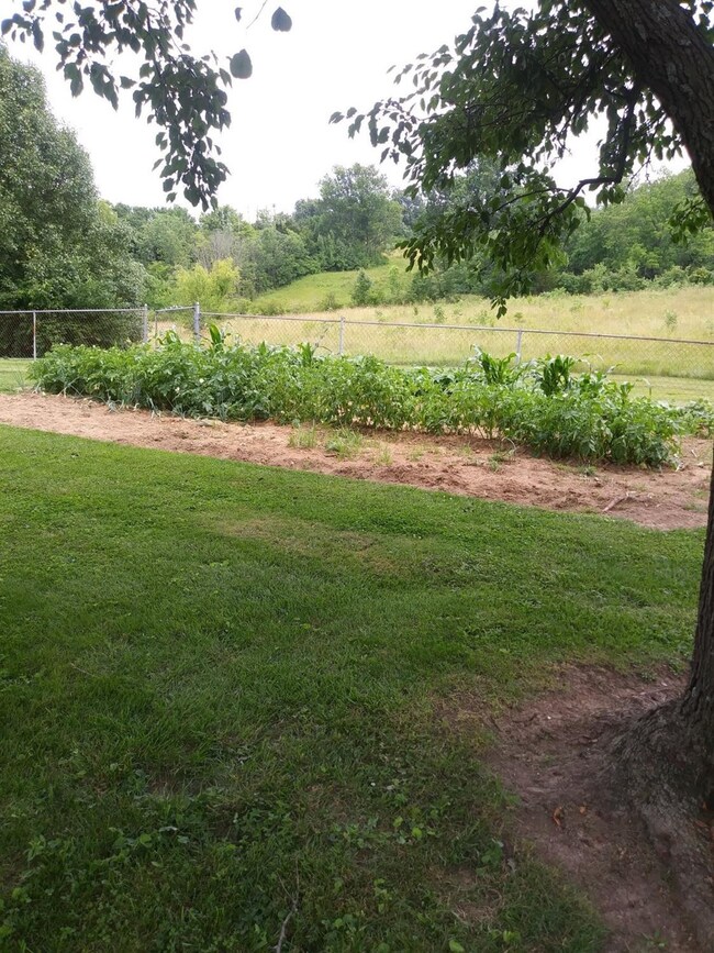 650 Elizabeth Ct, Harrodsburg, KY 40330 - photo 7