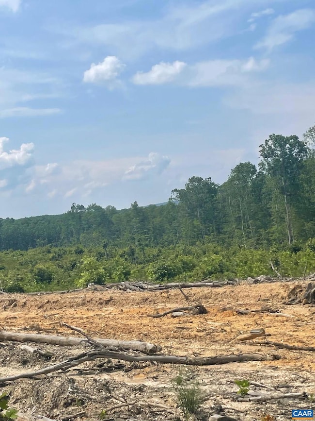 0 Passante Sr Ln unit 10 68 666509, Gordonsville, VA 22942 - photo 6