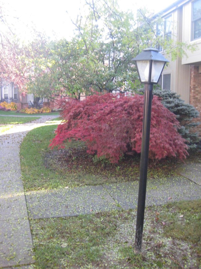 SPRING IN THE COURTYARD
