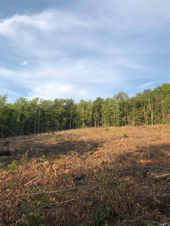 0 N Groton unit 4629930, Groton, NH 03266 - photo 5