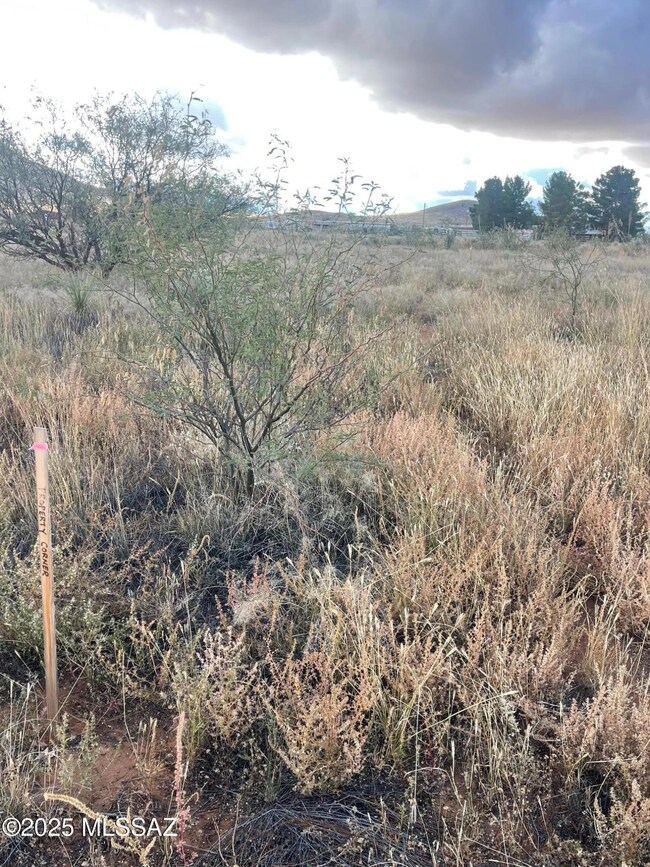 TBD Rain Valley Rd unit c, Elgin, AZ 85611 - photo 6