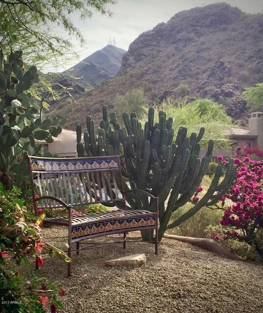 Front Yard Oasis!