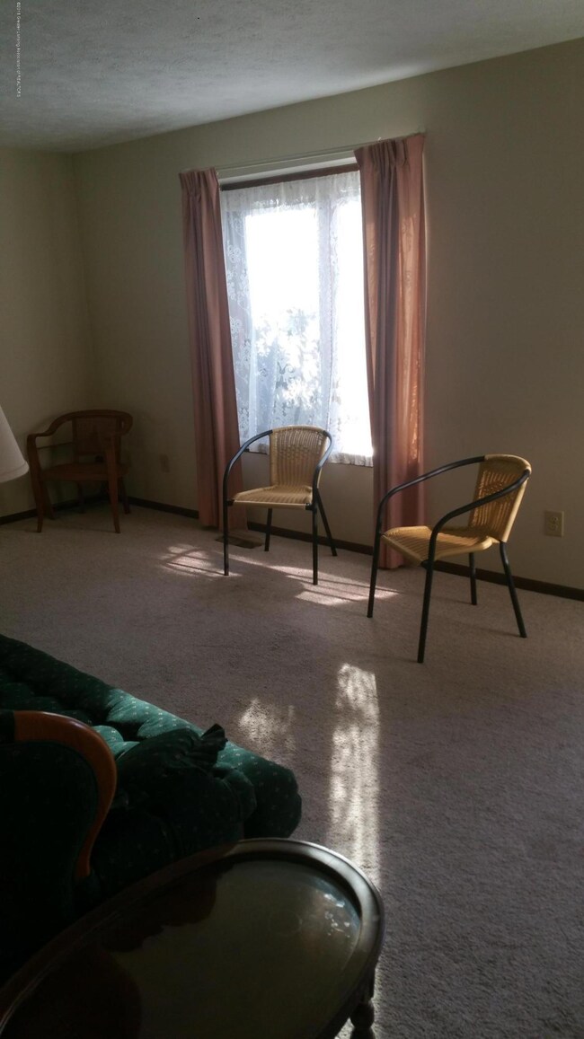 201 Tinley Dr, Lansing, MI 48911 - photo 3