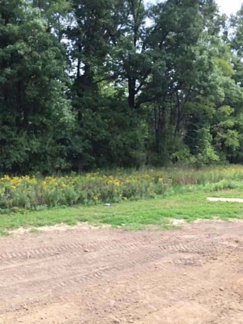 5790 Libby Ct, Dexter, MI 48130 - photo 3