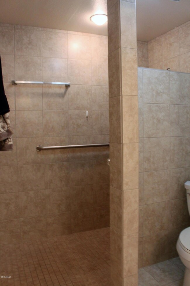 Grab bars in shower