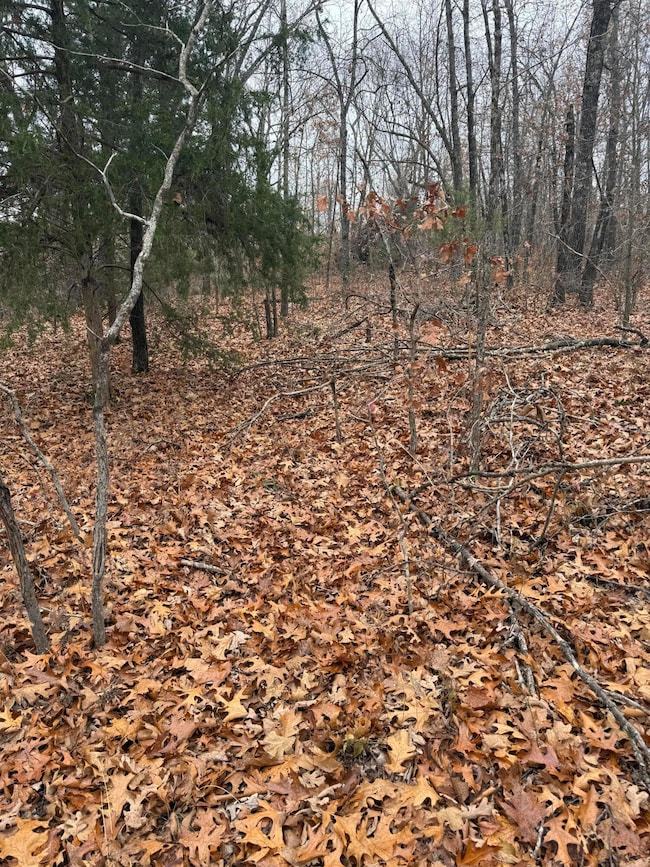 000 Pecan Dr, Grovespring, MO 65662 - photo 2