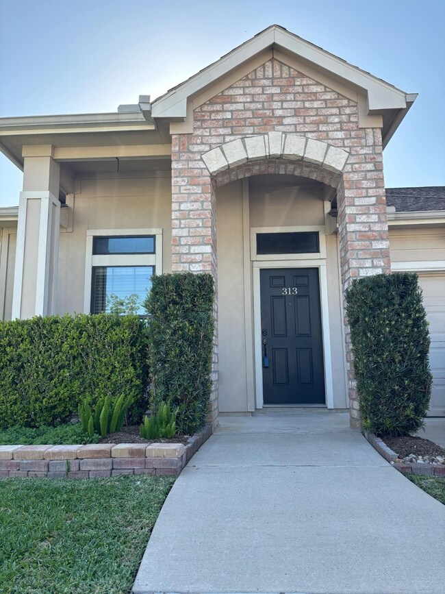 Front View 2