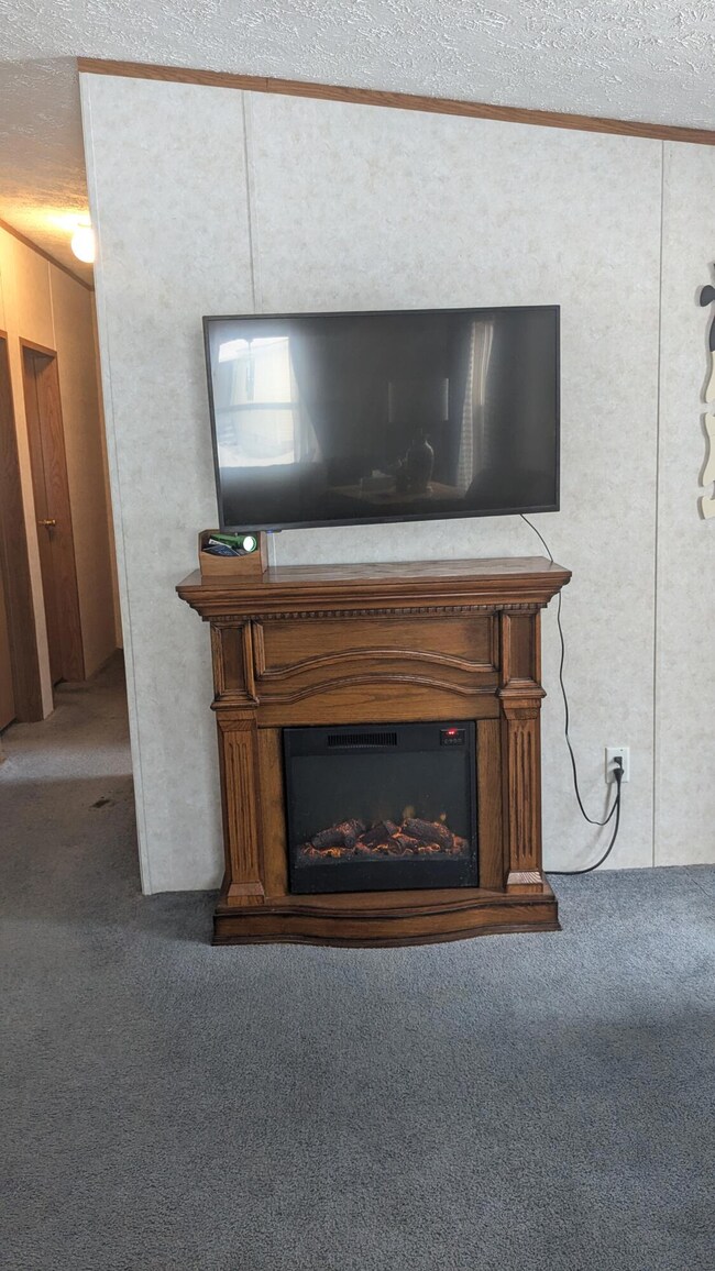 Cozy Electric Fireplace
