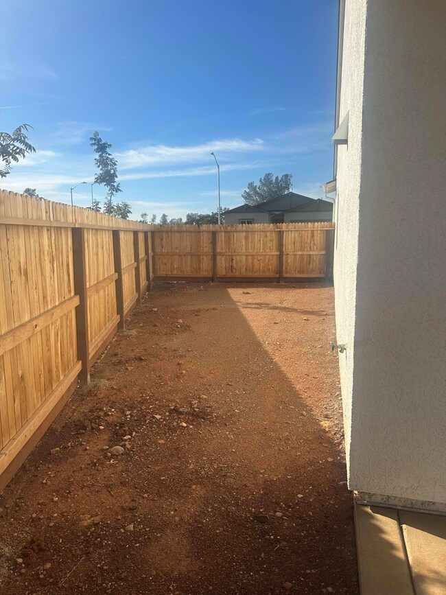 Lilac_Lot26_Sideyard