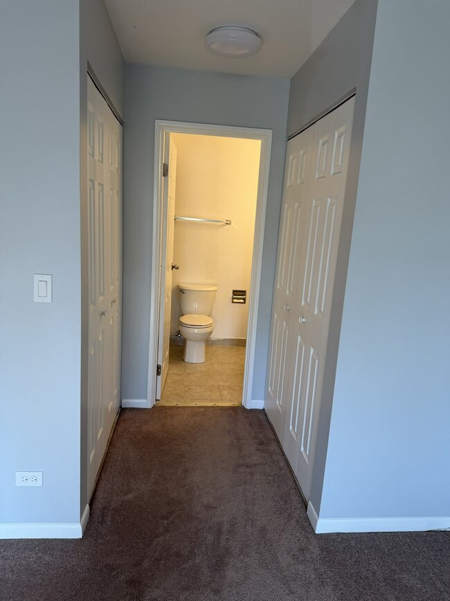 2920 Roberts Dr unit 5, Woodridge, IL 60517 - photo 4