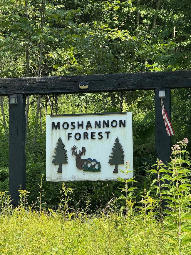 529 Lucas Ridge Rd, Snow Shoe, PA 16874 - photo 2