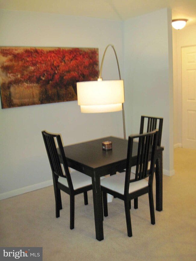 7905 Dassett Ct unit T2, Annandale, VA 22003 - photo 6