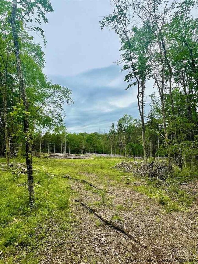 2015 Berme Rd, Kerhonkson, NY 12446 - photo 2