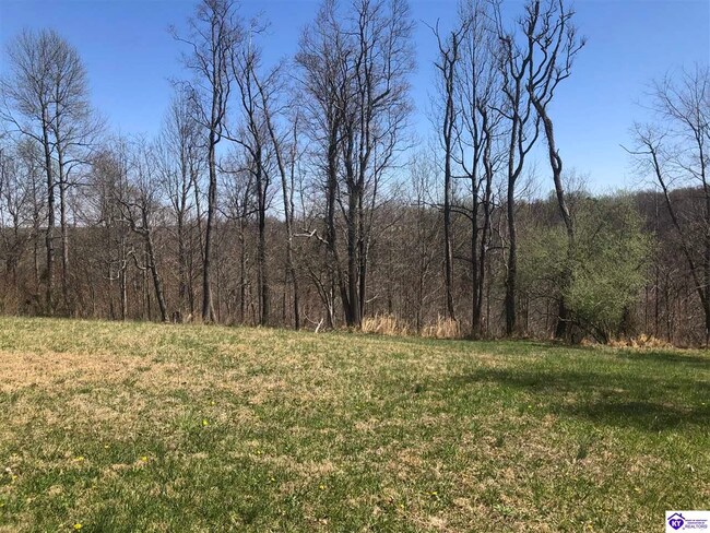 lot 46 Grand Canyon Dr, Elizabethtown, KY 42701 | MLS# HK10061145