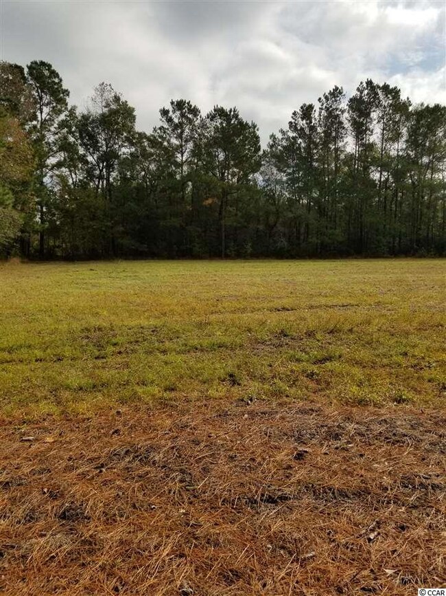 6 S Carolina 66, Conway, SC 29526 - photo 2