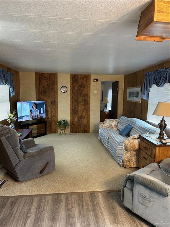 Living room with carpet and a textured ceiling