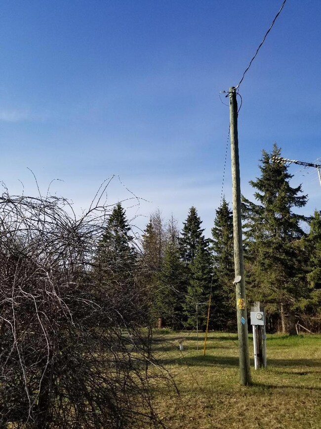 Electric pole