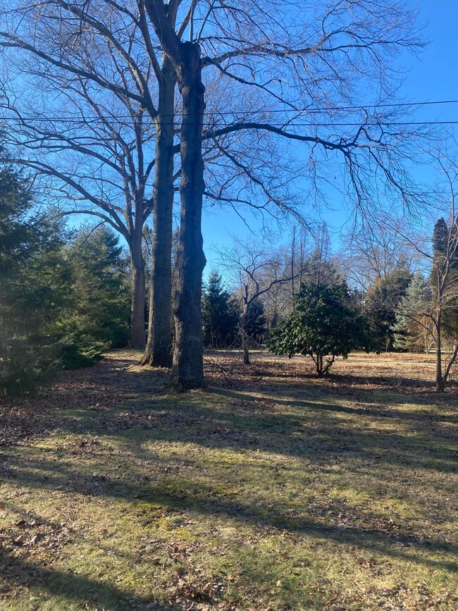 Lot View 4