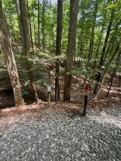 268 14th St, Ellijay, GA 30540 - photo 6