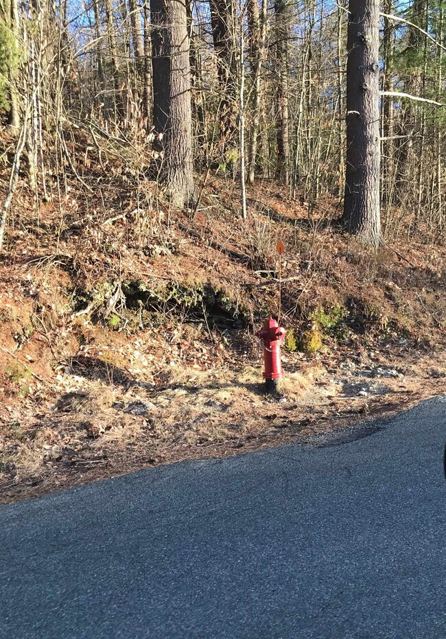 0 Forest Lake Rd unit 4897805, Winchester, NH 03470 - photo 7