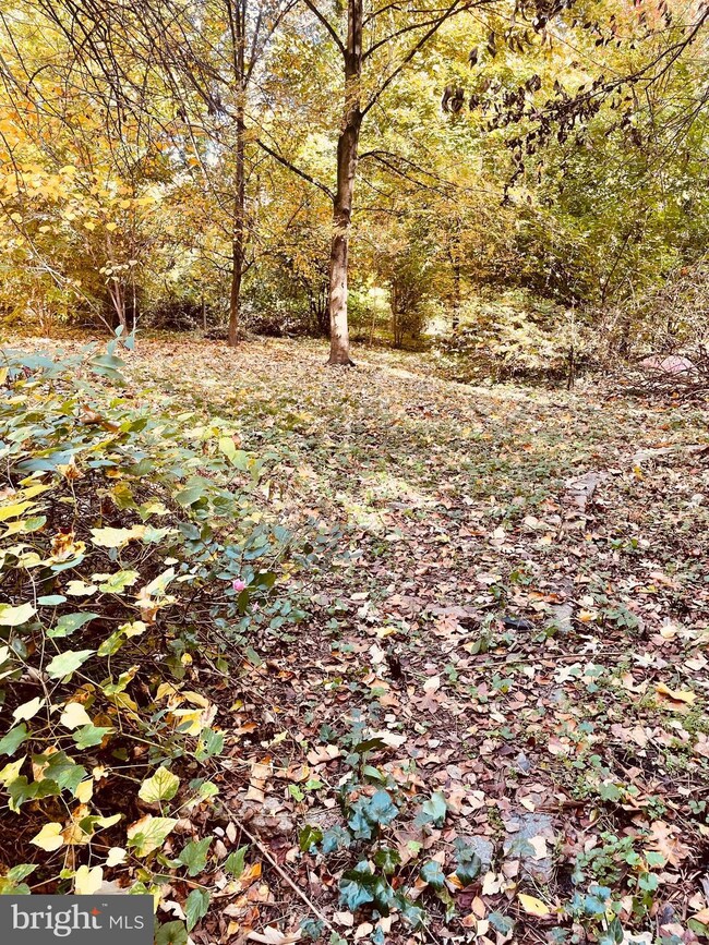 5373 Magnolia St, Philadelphia, PA 19144 - photo 3