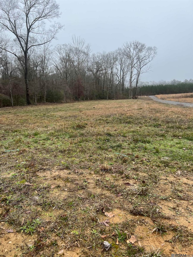 4353 Lower C Rd, Clinton, LA 70722 - photo 2