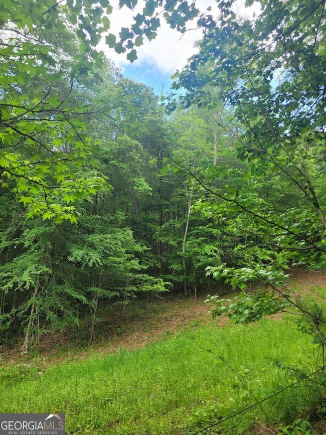 0 Fincherville Rd unit TRACT 3 10435292, Jackson, GA 30233 - photo 3