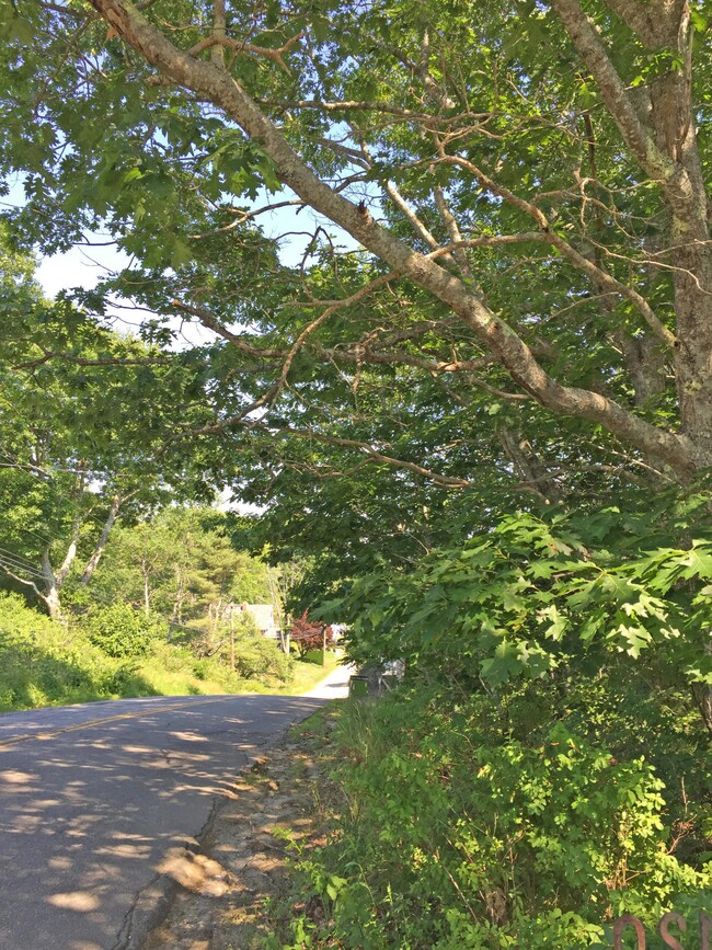 roadside view