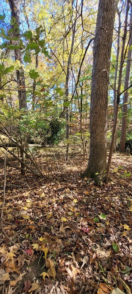 0 Gilliam Dr unit 96, Farmville, VA 23901 - photo 4