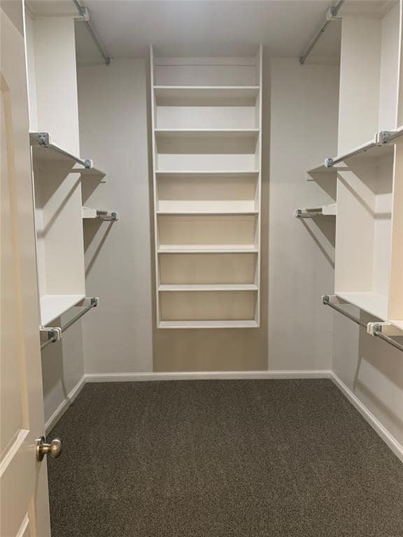 Walk in closet with carpet floors