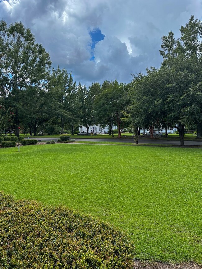 335 N Eufaula Ave, Eufaula, AL 36027 - photo 3