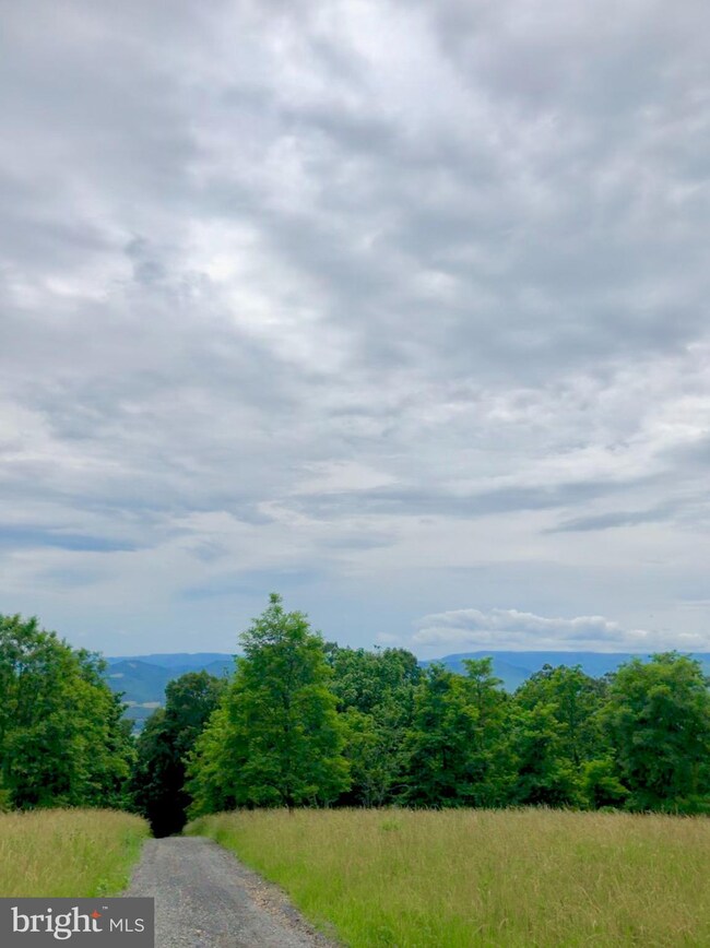 27.16 ACRES Charlies Knob, Petersburg, WV 26847 - photo 5