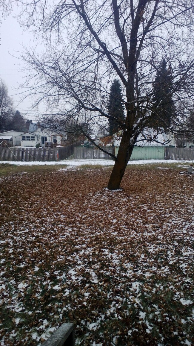 511 W Main Ave, Chewelah, WA 99109 - photo 5