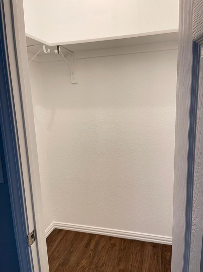 Spacious closet featuring dark wood-style flooring