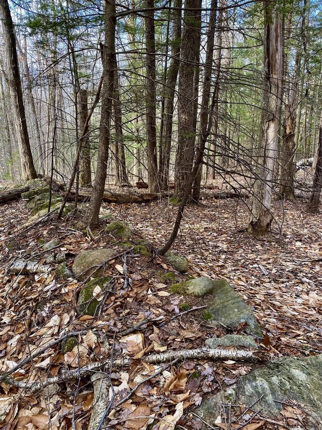 0 Raisig Rd unit 202121066, Corinth, NY 12822 - photo 7