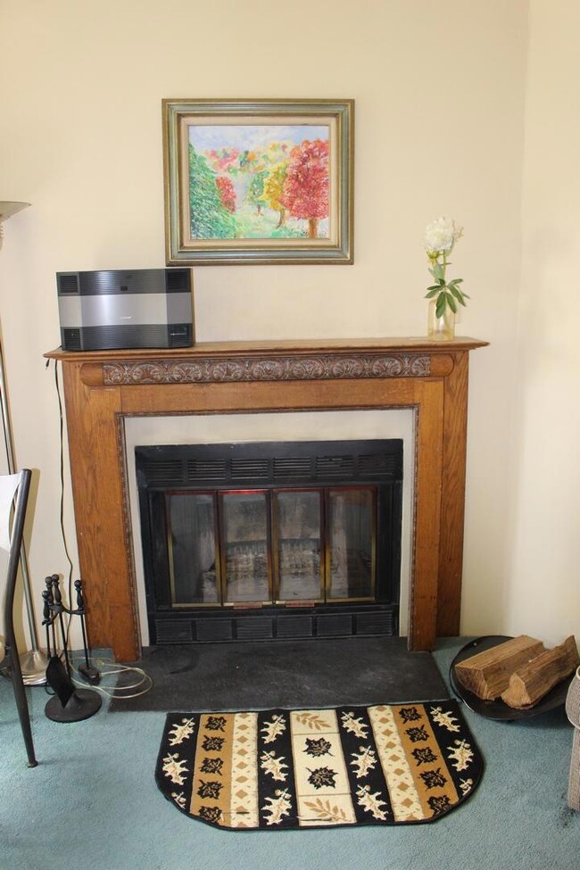 1419 Silver Creek unit SILVER CREEK DRIVE, Snowshoe, WV 26209 - photo 4