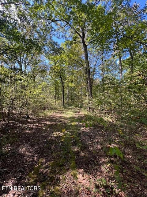 0 Hwy 70 N unit 1317516, Monterey, TN 38574 - photo 4