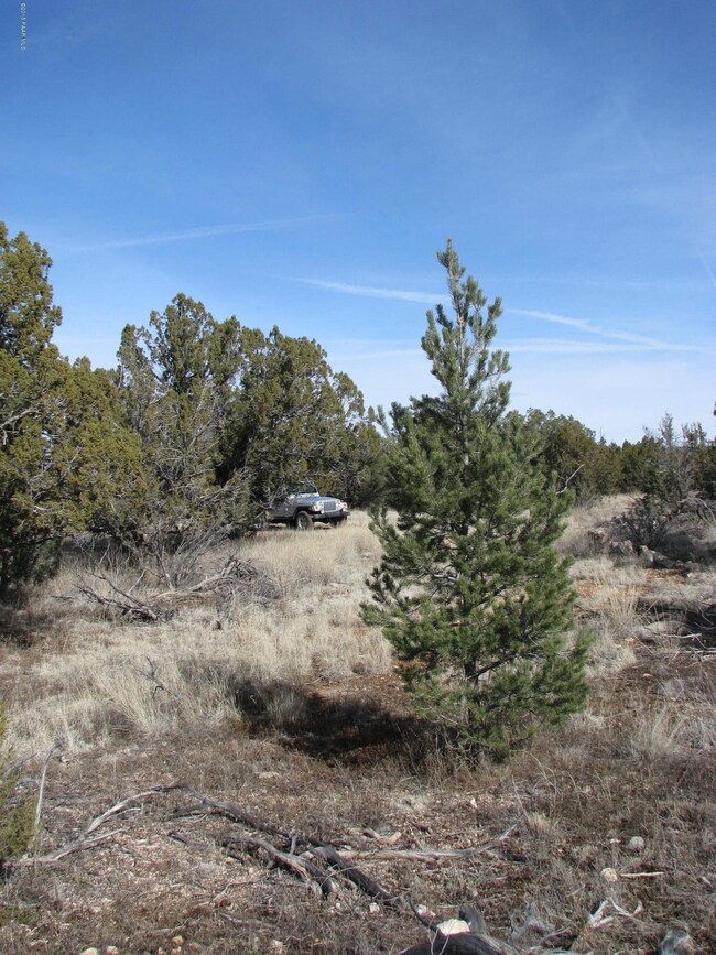 54625 N Echo Ln, Seligman, AZ 86337 - photo 2
