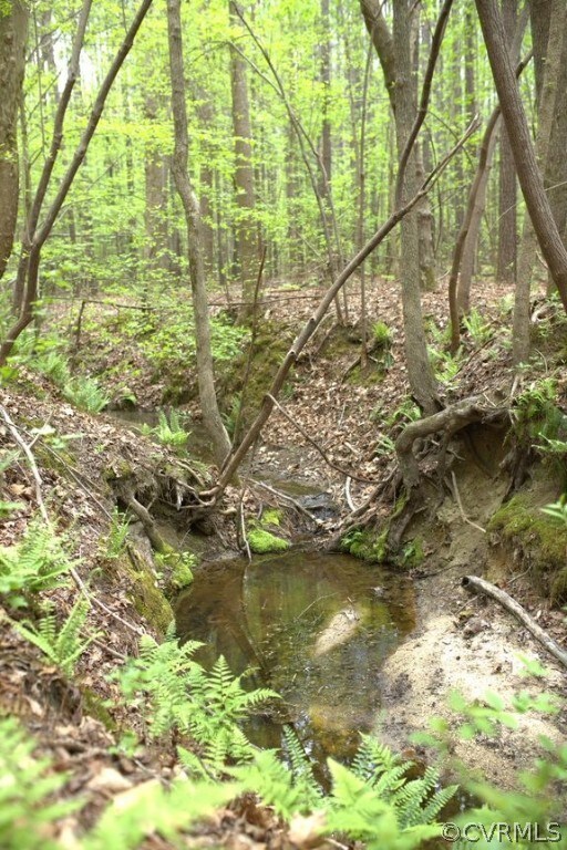 View of local wilderness with a water view