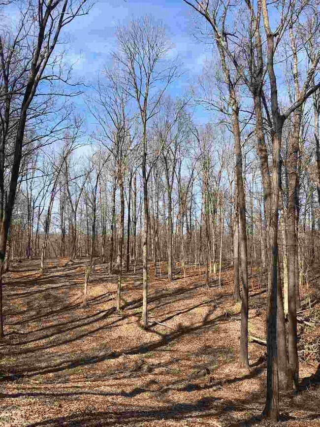 357 Cr 372, Bono, AR 72416 - photo 6